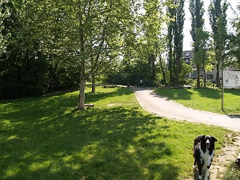 Hunde-Auslauf-Fläche - Dortmund