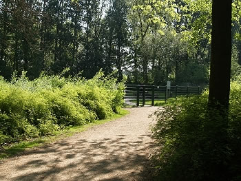 Hundeauslauffläche - Dortmund Innenstadt - Hoeschpark