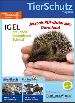 TS-Magazin