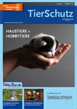 TS-Magazin Heft Nr.: 12