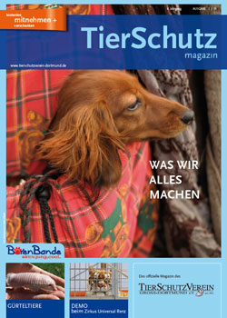 TS-Magazin Heft Nr.: 13